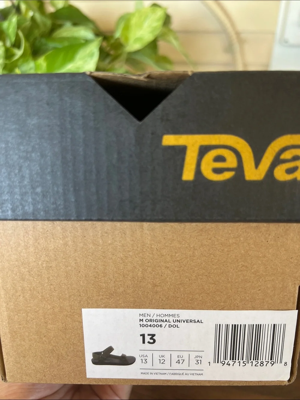 Teva durable olive